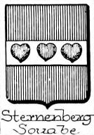 Sternenberg Coat of Arms / Family Crest 1