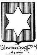 Sternenberg Coat of Arms / Family Crest 2