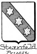 sternfeld Coat of Arms / Family Crest 0