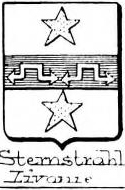 Sternstrahl Coat of Arms / Family Crest 0