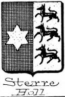 Sterre Coat of Arms / Family Crest 0