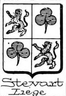 Stevart