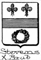 Stevens Coat of Arms / Family Crest 0