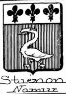 Stienon Coat of Arms / Family Crest 0
