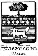 Stiernholm Coat of Arms / Family Crest 0