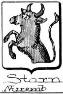 Stirn Coat of Arms / Family Crest 1