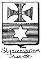 Stjernkors Coat of Arms / Family Crest 0