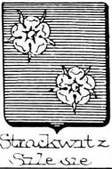 Strackwitz Coat of Arms / Family Crest 0