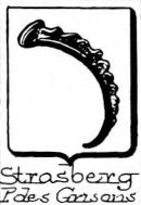 Strasberg Coat of Arms / Family Crest 0