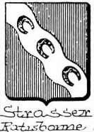 Strasser Coat of Arms / Family Crest 1