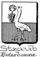 Straub Coat of Arms / Family Crest 2
