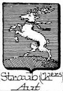 Straub Coat of Arms / Family Crest 4