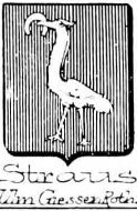 Straus Coat of Arms / Family Crest 1