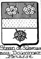 Strein Coat of Arms / Family Crest 3