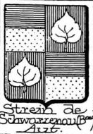Strein Coat of Arms / Family Crest 2