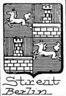 Streit Coat of Arms / Family Crest 6