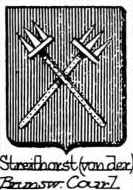 Streithorst Coat of Arms / Family Crest 4