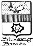 Streng Coat of Arms / Family Crest 1