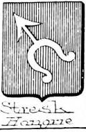 Stresk Coat of Arms / Family Crest 0