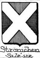 Stronichen Coat of Arms / Family Crest 1