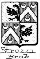 Strozzi Coat of Arms / Family Crest 6