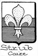 Strub Coat of Arms / Family Crest 1
