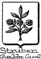 Struben Coat of Arms / Family Crest 0