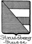 Strussberg Coat of Arms / Family Crest 1