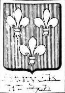 Stryck Coat of Arms / Family Crest 0