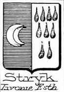 Stryk Coat of Arms / Family Crest 0