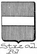 Strzal