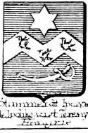 Stummer Coat of Arms / Family Crest 1