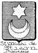 Styrnski Coat of Arms / Family Crest 0