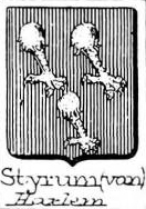Styrum Coat of Arms / Family Crest 0