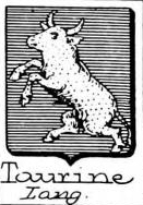 Taurine Coat of Arms / Family Crest 0