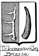 Tchorzewski Coat of Arms / Family Crest 0