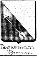 Tegernau Coat of Arms / Family Crest 0