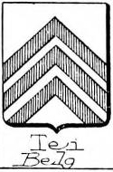 Tei Coat of Arms / Family Crest 0