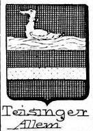 Teisinger Coat of Arms / Family Crest 1