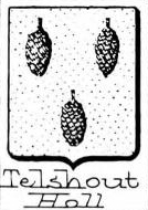Telshout Coat of Arms / Family Crest 0