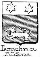 Tergolina Coat of Arms / Family Crest 1