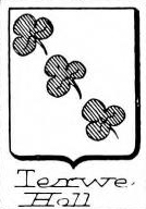 Terwe Coat of Arms / Family Crest 0