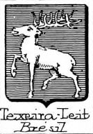 Texeira Coat of Arms / Family Crest 0