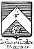 Teyler Coat of Arms / Family Crest 1