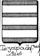 Teyspach Coat of Arms / Family Crest 0