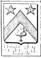 Theil Coat of Arms / Family Crest 0