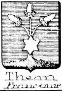 Thein Coat of Arms / Family Crest 3