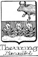 Theuring Coat of Arms / Family Crest 1