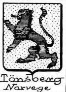 Tonsberg Coat of Arms / Family Crest 1