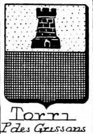 Torri Coat of Arms / Family Crest 3